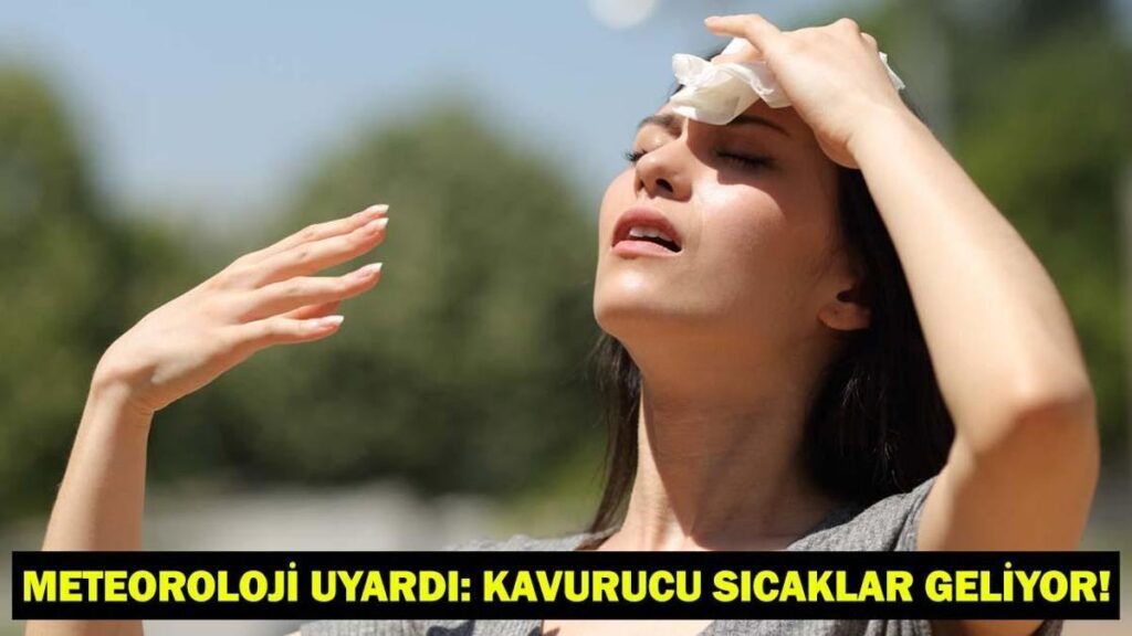 6886fb473129374d52b23843.jpg