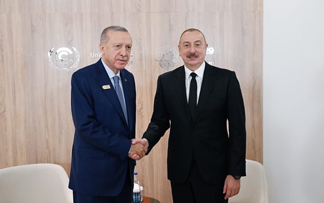 erdogan alıyev4