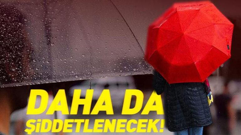 68dfc289ab57d8500ab51d79.jpg